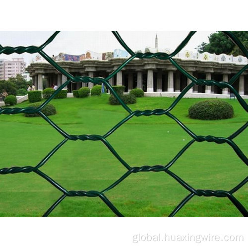 Hexagonal Mesh Hot dip galvanized chicken mesh Manufactory